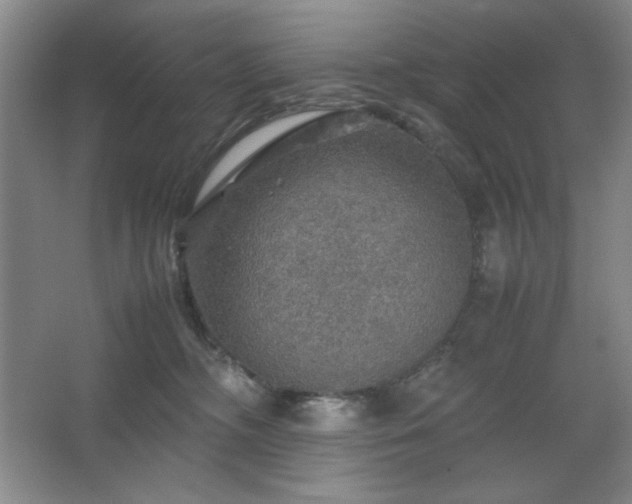 X0000067460326200604071135