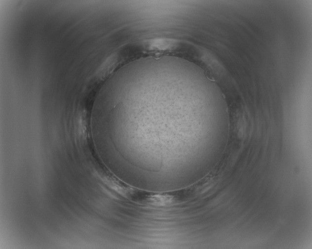 X0000067460328200604071135