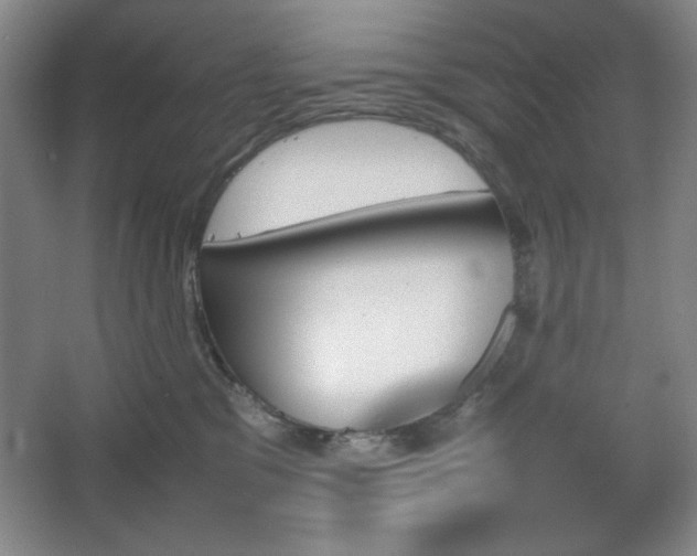 X0000067460329200604071135