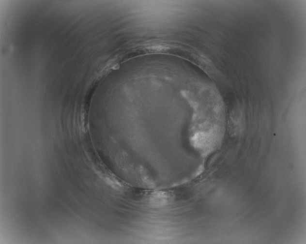 X0000067460330200604071135