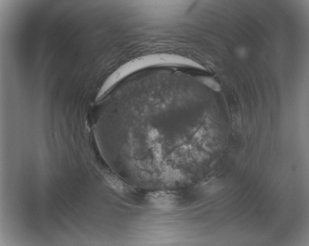 X0000067460331200604071135