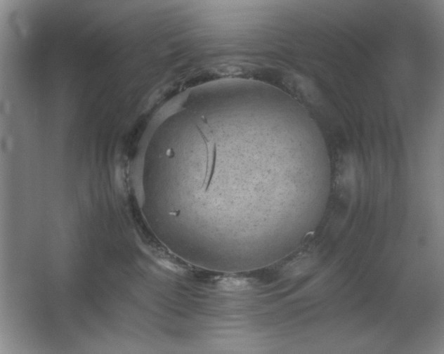 X0000067460332200604071135