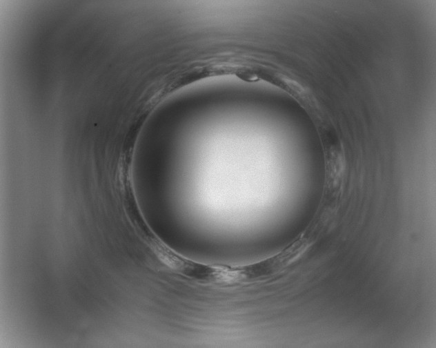 X0000067460333200604071135