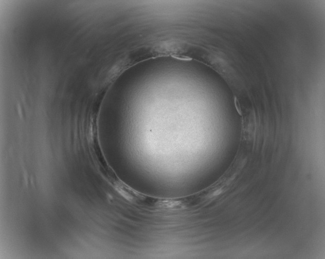 X0000067460334200604071134