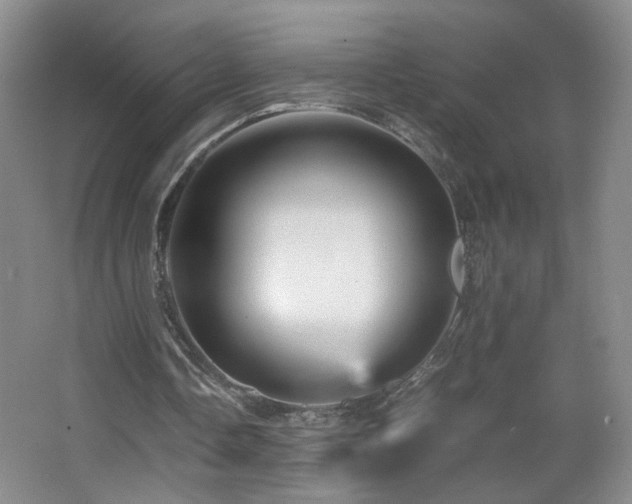 X0000067460338200604071134