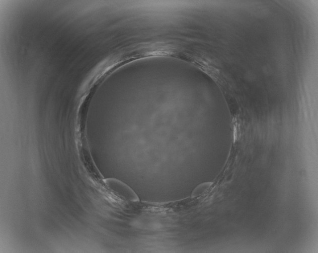 X0000067460339200604071134