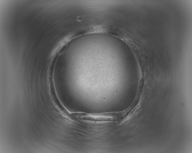 X0000067460341200604071134