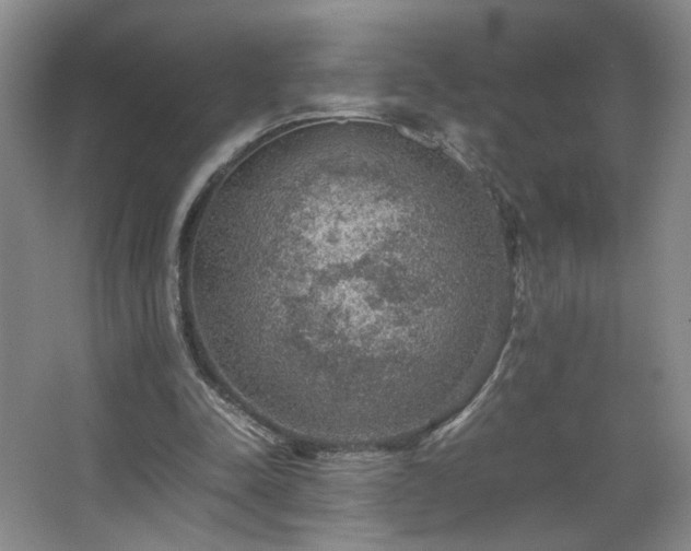 X0000067460342200604071134