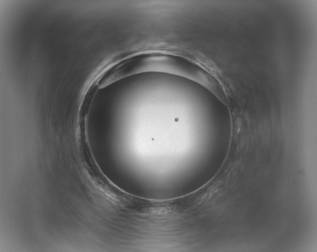 X0000067460344200604071134