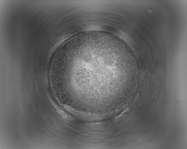 X0000067460345200604071134