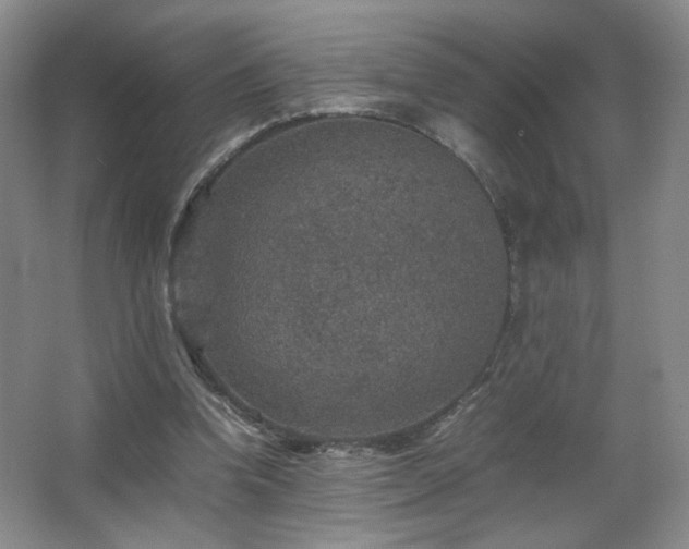 X0000067460346200604071134