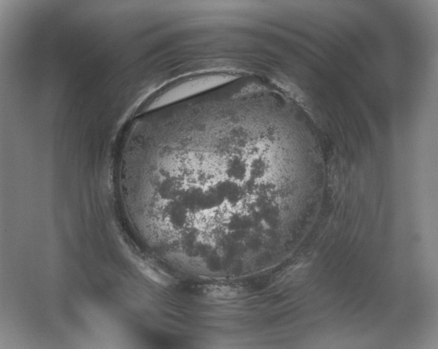 X0000067460347200604071134