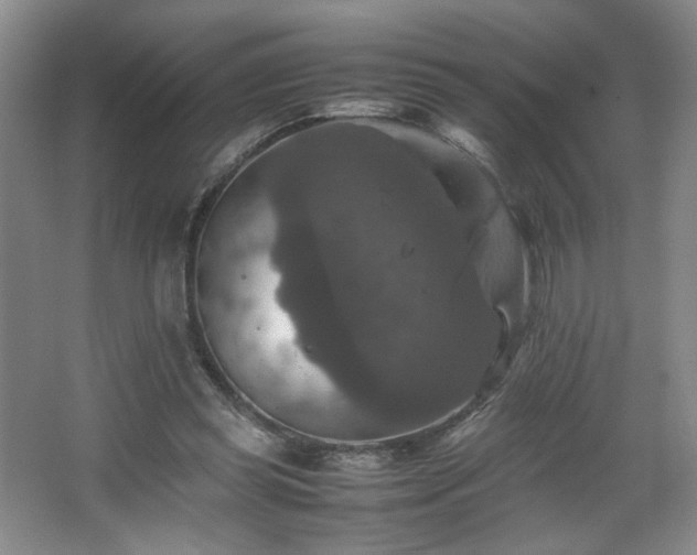 X0000067460349200604071134