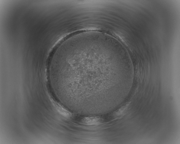 X0000067460351200604071134