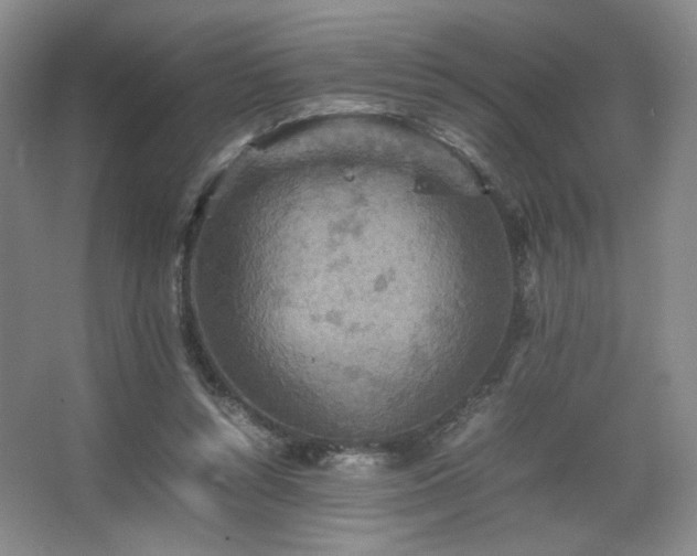 X0000067460352200604071134