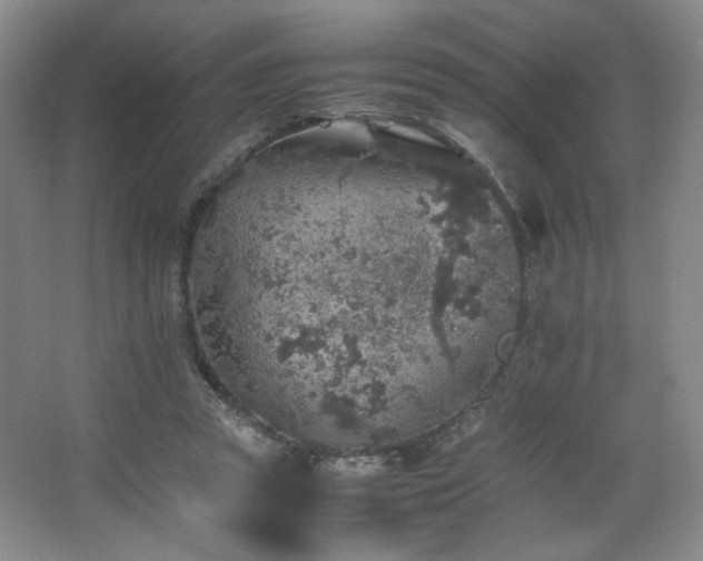 X0000067460353200604071134