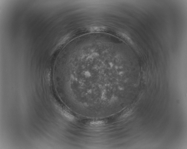 X0000067460357200604071134