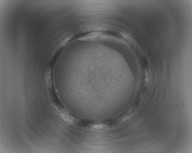 X0000067460360200604071134