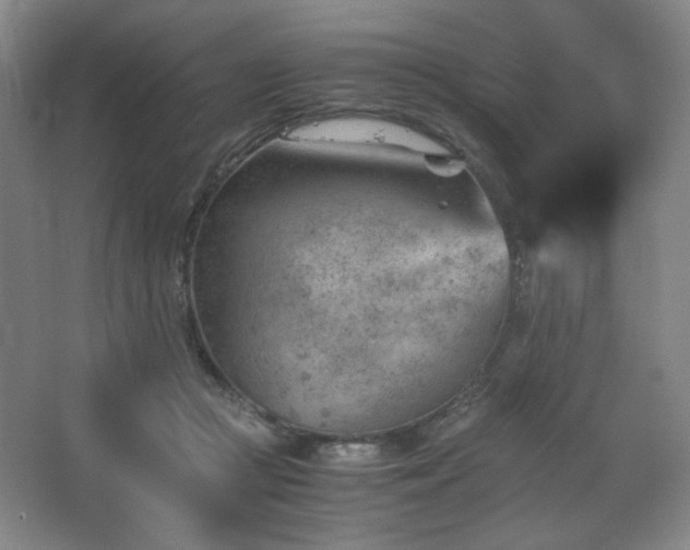 X0000067460361200604071134