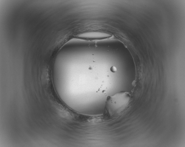 X0000067460362200604071134