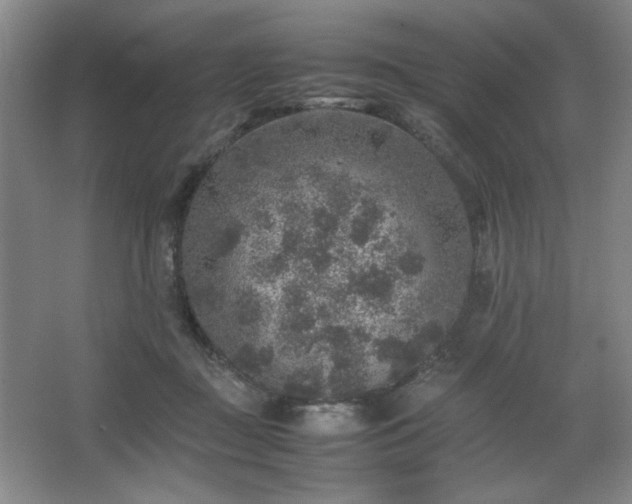 X0000067460363200604071134