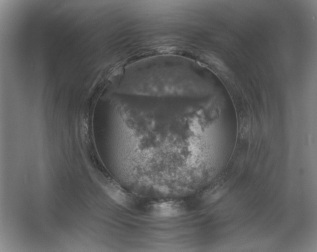 X0000067460365200604071134