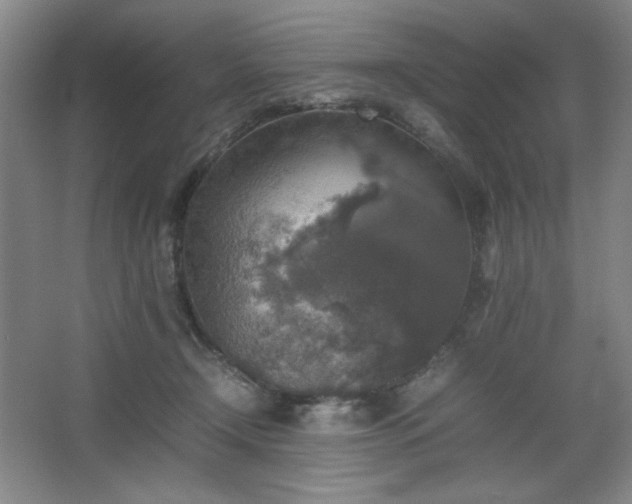 X0000067460366200604071134