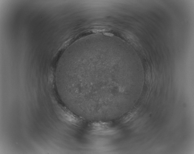 X0000067460367200604071134