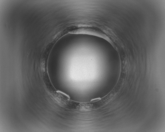 X0000067460368200604071134