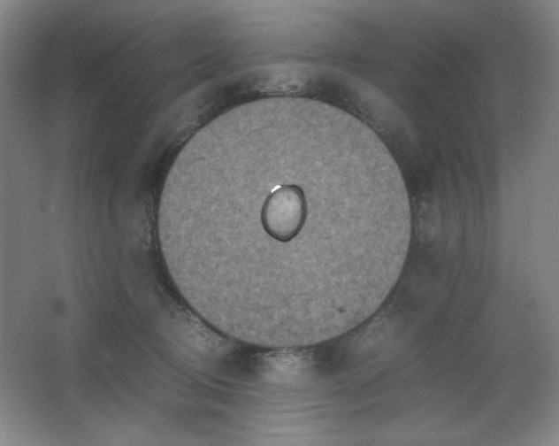 X0000067460370200604071134