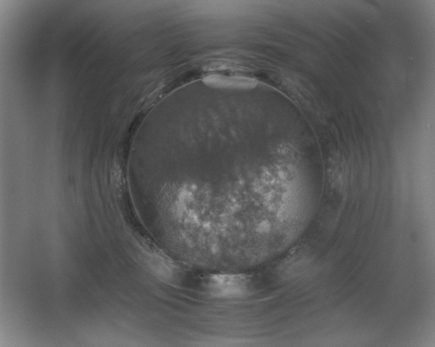 X0000067460371200604071134