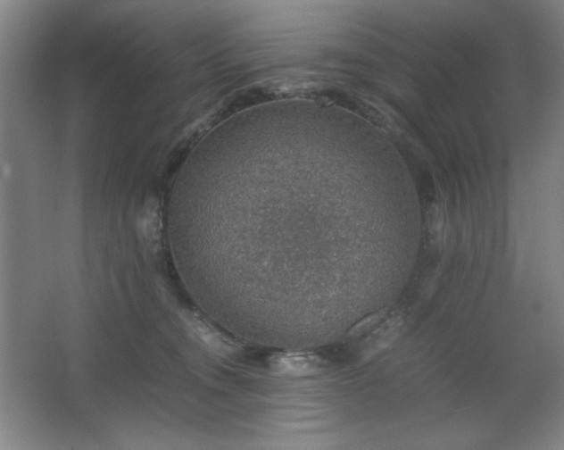 X0000067460372200604071134