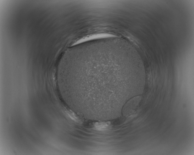 X0000067460373200604071134