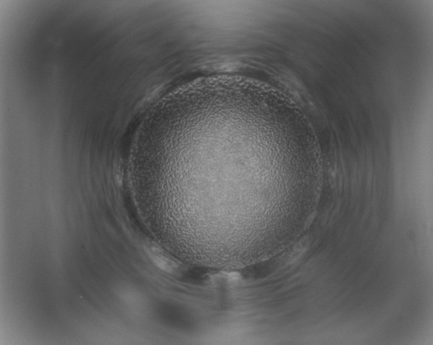 X0000067460374200604071134