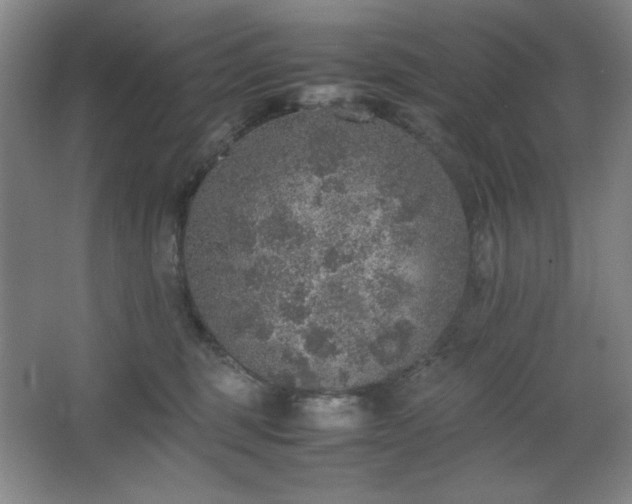 X0000067460375200604071134