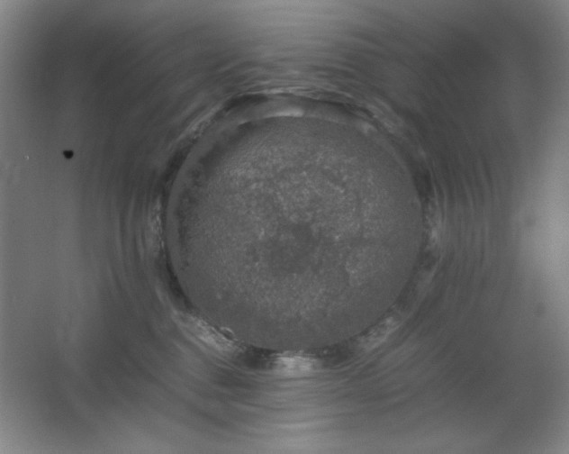 X0000067460376200604071134