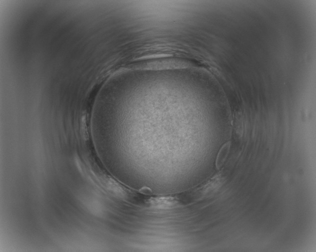 X0000067460378200604071134