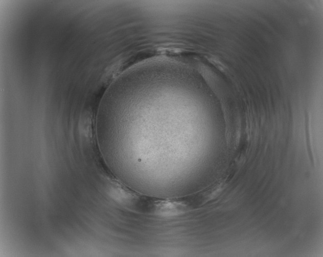 X0000067460379200604071134