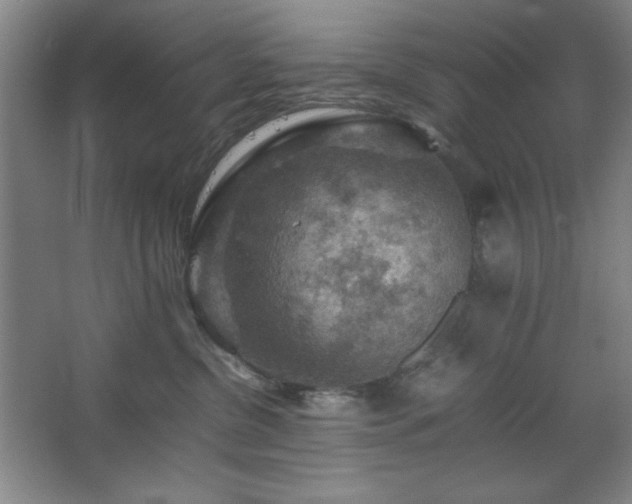 X0000067460380200604071134