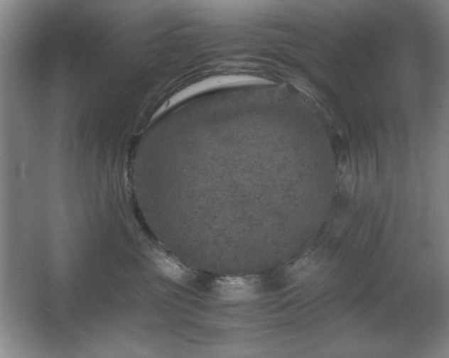 X0000067460381200604071134