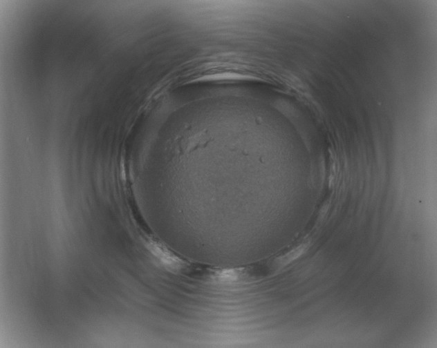 X0000067460382200604071134