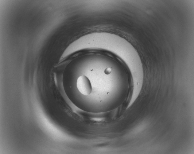 X0000067460383200604071134