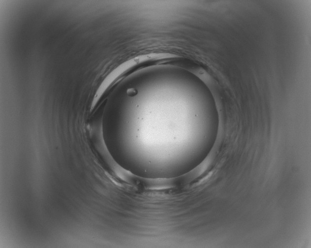 X0000067460384200604071134