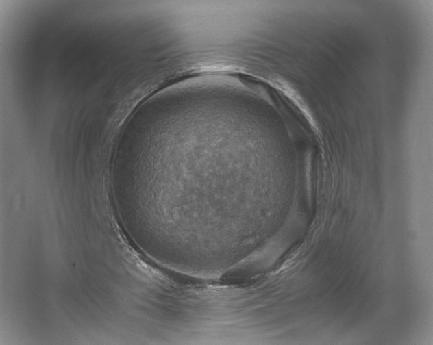 X0000067460385200604071134