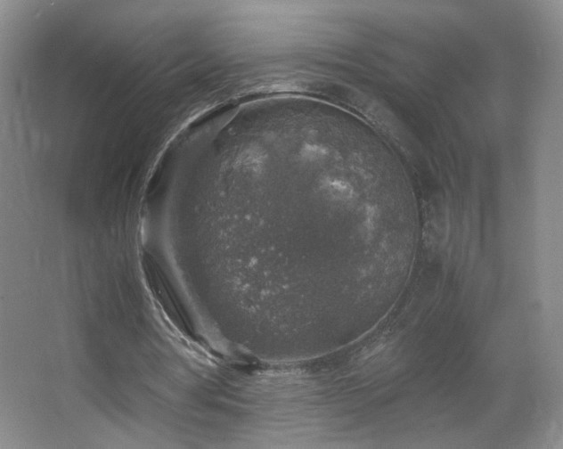 X0000067460386200604071134