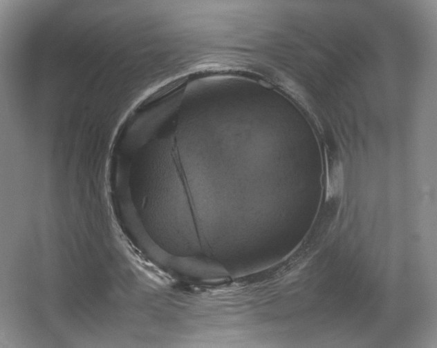 X0000067460387200604071134