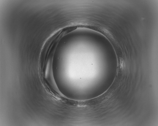 X0000067460388200604071134