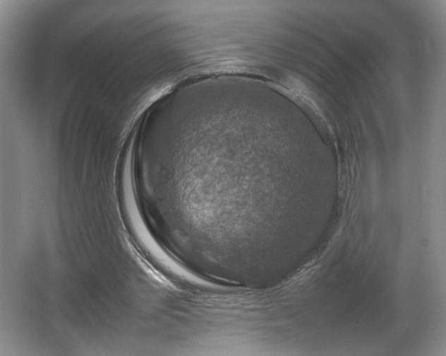 X0000067460389200604071134