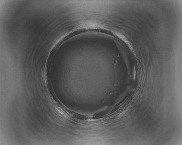 X0000067460391200604071134