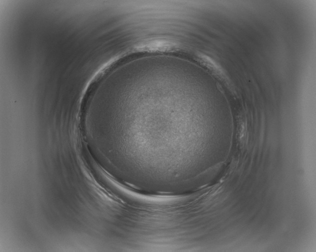 X0000067460392200604071133